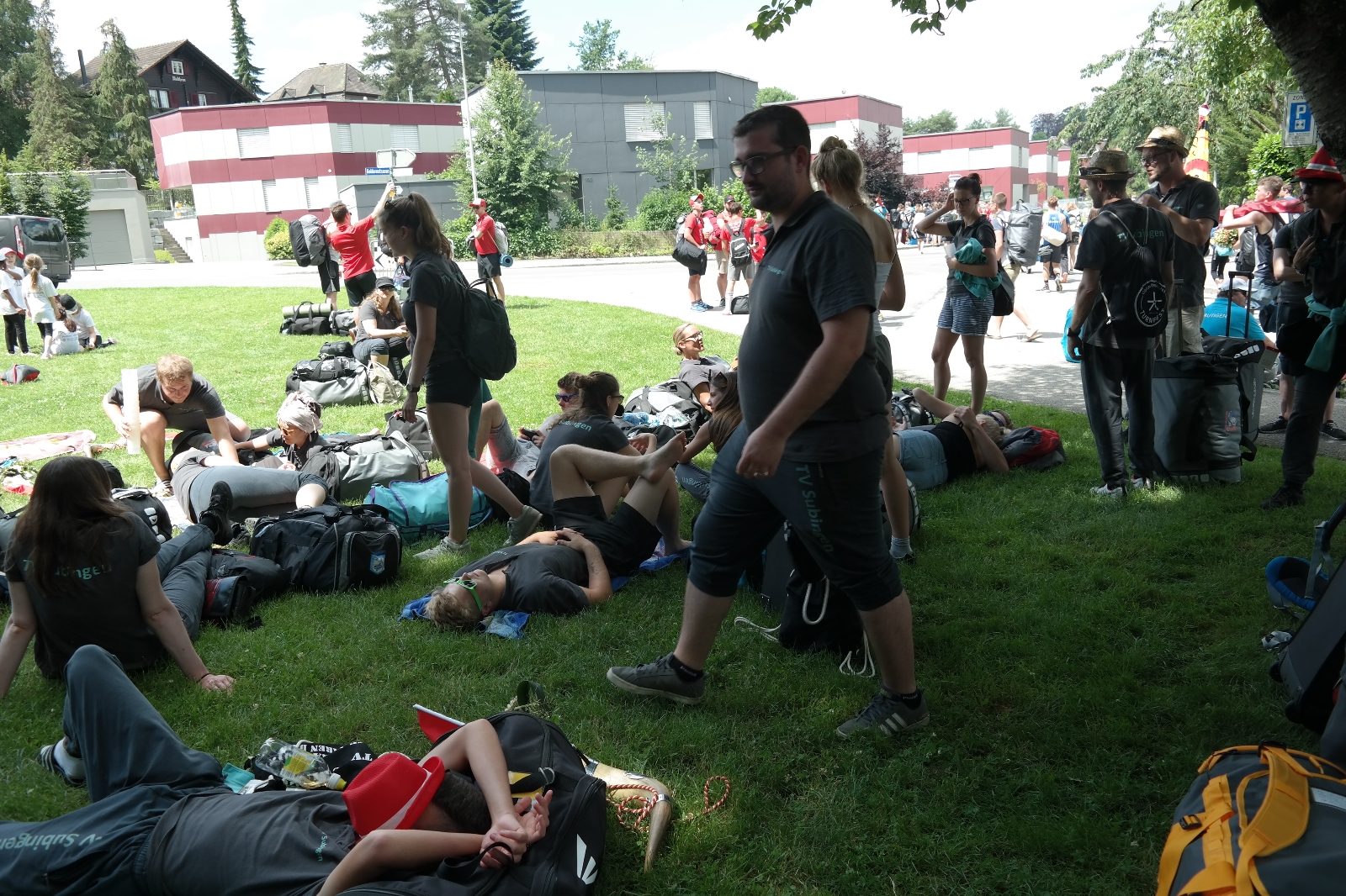Bild1 (230)